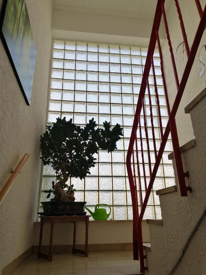 Ferienhaus Elwetritsche In Landau/Pfalz Landau in der Pfalz Extérieur photo